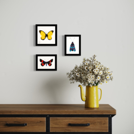 Framed Unsad Yellow Butterfly