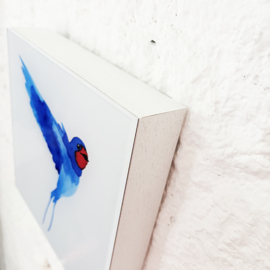 Geluksvogels 3d