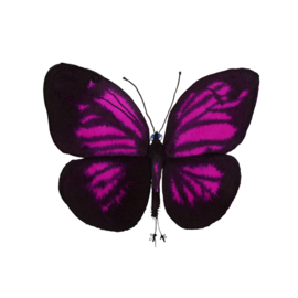 Onzielige Magenta Vlinder, 20 x 20 cm