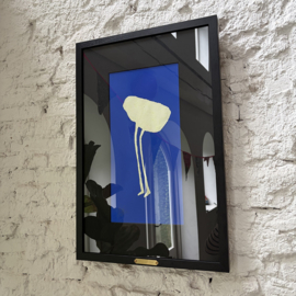 Light-Footed ZW7