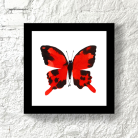 Framed Red Butterfly, 20 x 20 cm