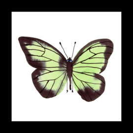 Ingelijste Groene Vlinder, 20 x 20 cm