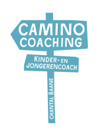 logo Camino