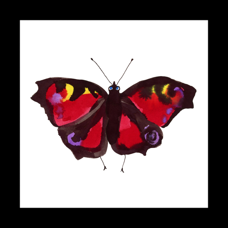 Ingelijste Pauwoog Vlinder, 20 x 20 cm