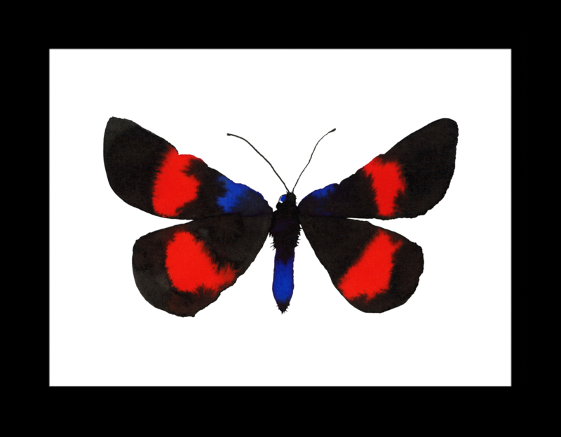 Ingelijste blauw zwart rode vlinder, 20 x 20 cm