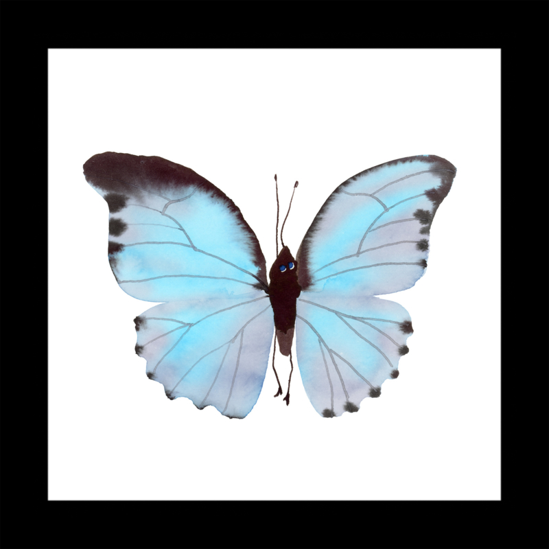 Turqoise vlinder in boxlijst