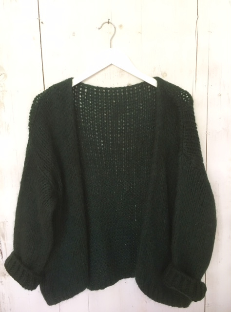 Comfy vest donkergroen | TRUIEN, VESTEN & JASJES | Izza Comfy vest roestkleurig | TRUIEN, VESTEN & JASJES | Izza