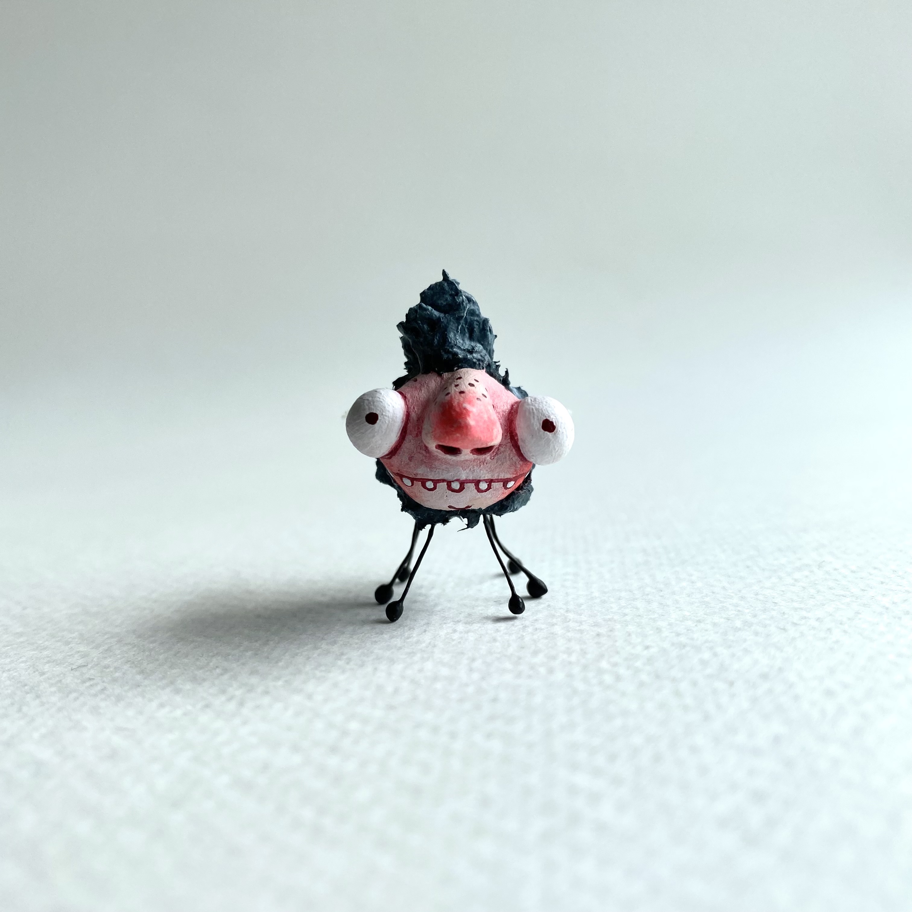 Jeff the fly