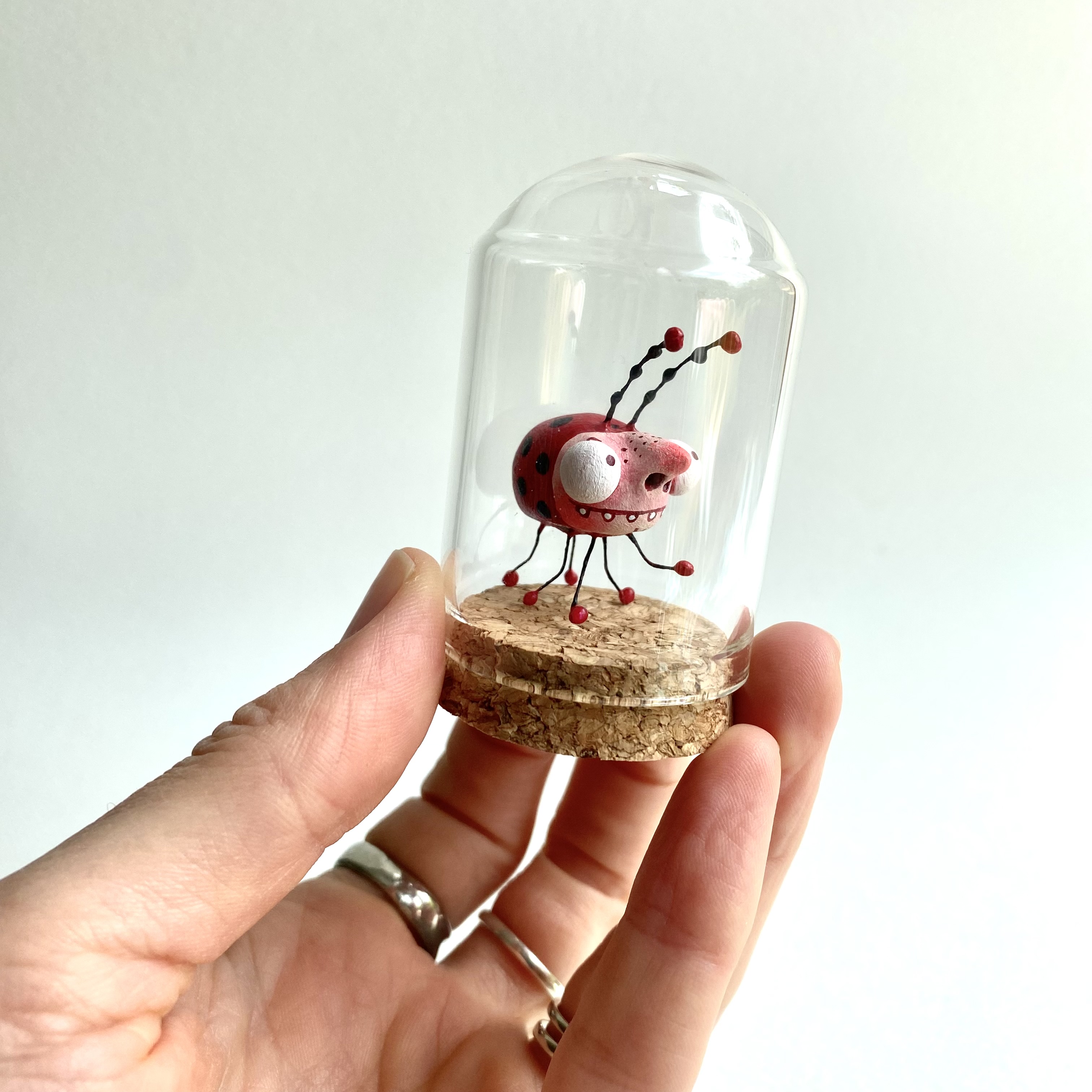 Pom the ladybug