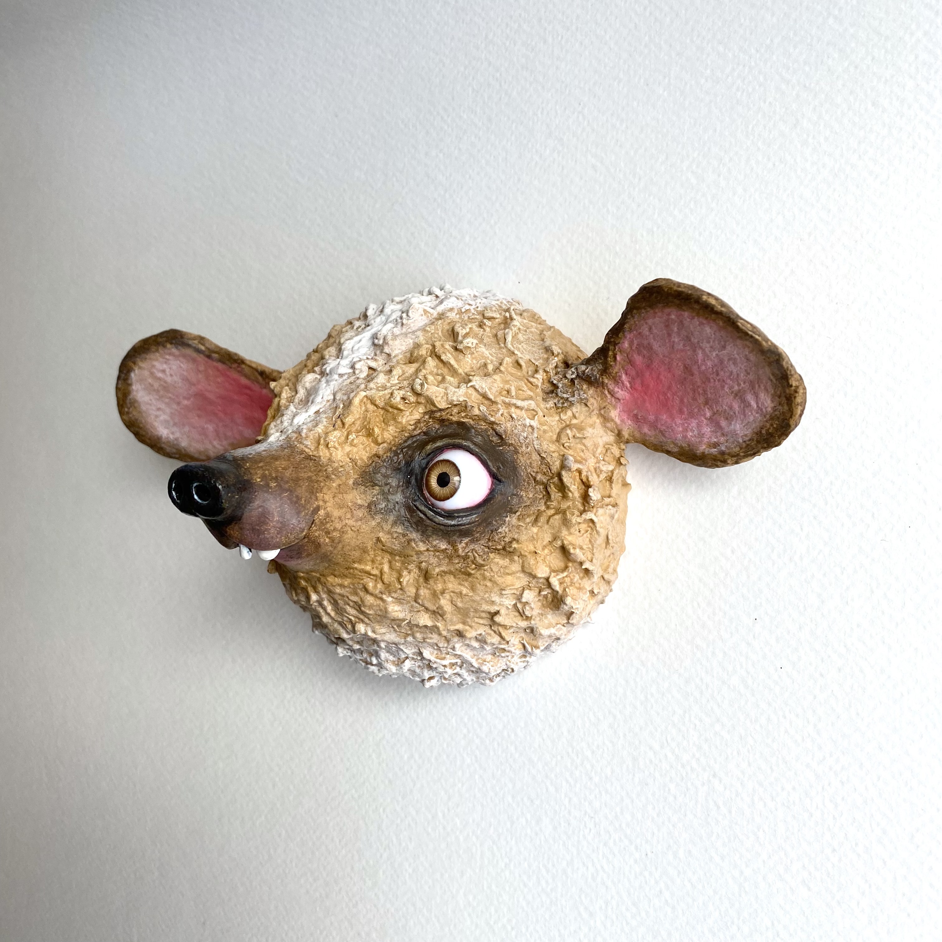 Wall animal