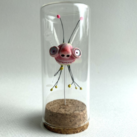 Bug in glas jar
