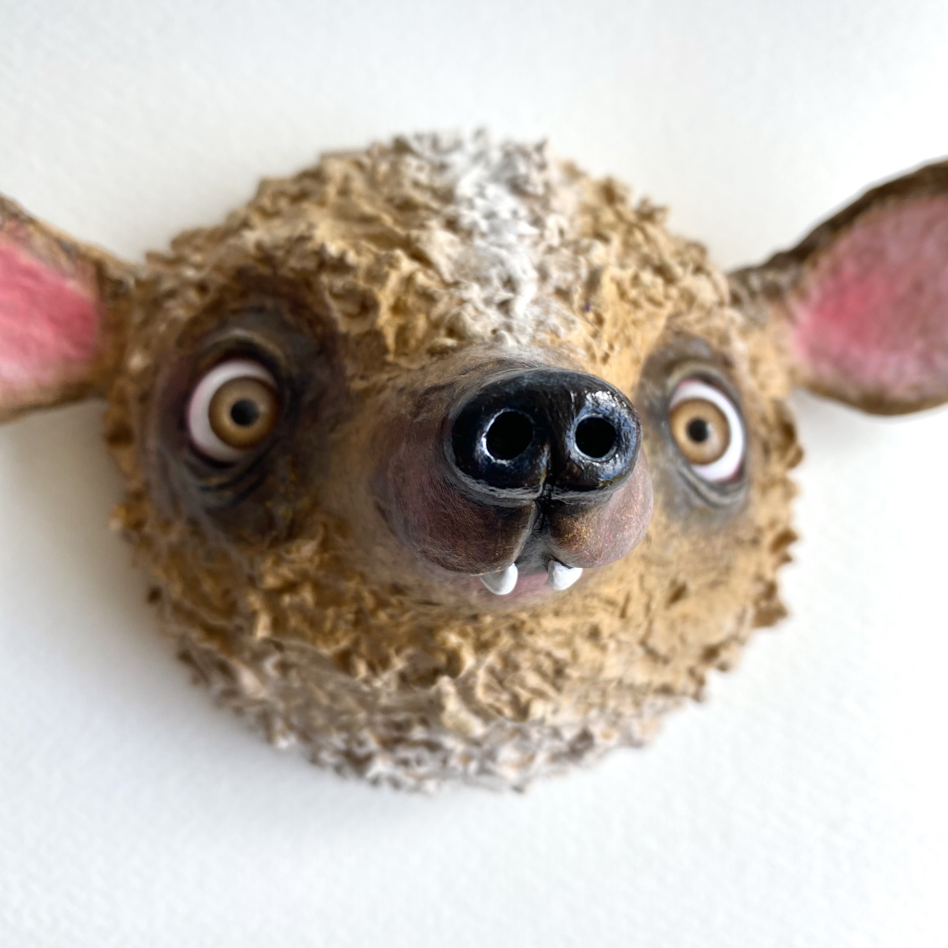 Wall animal