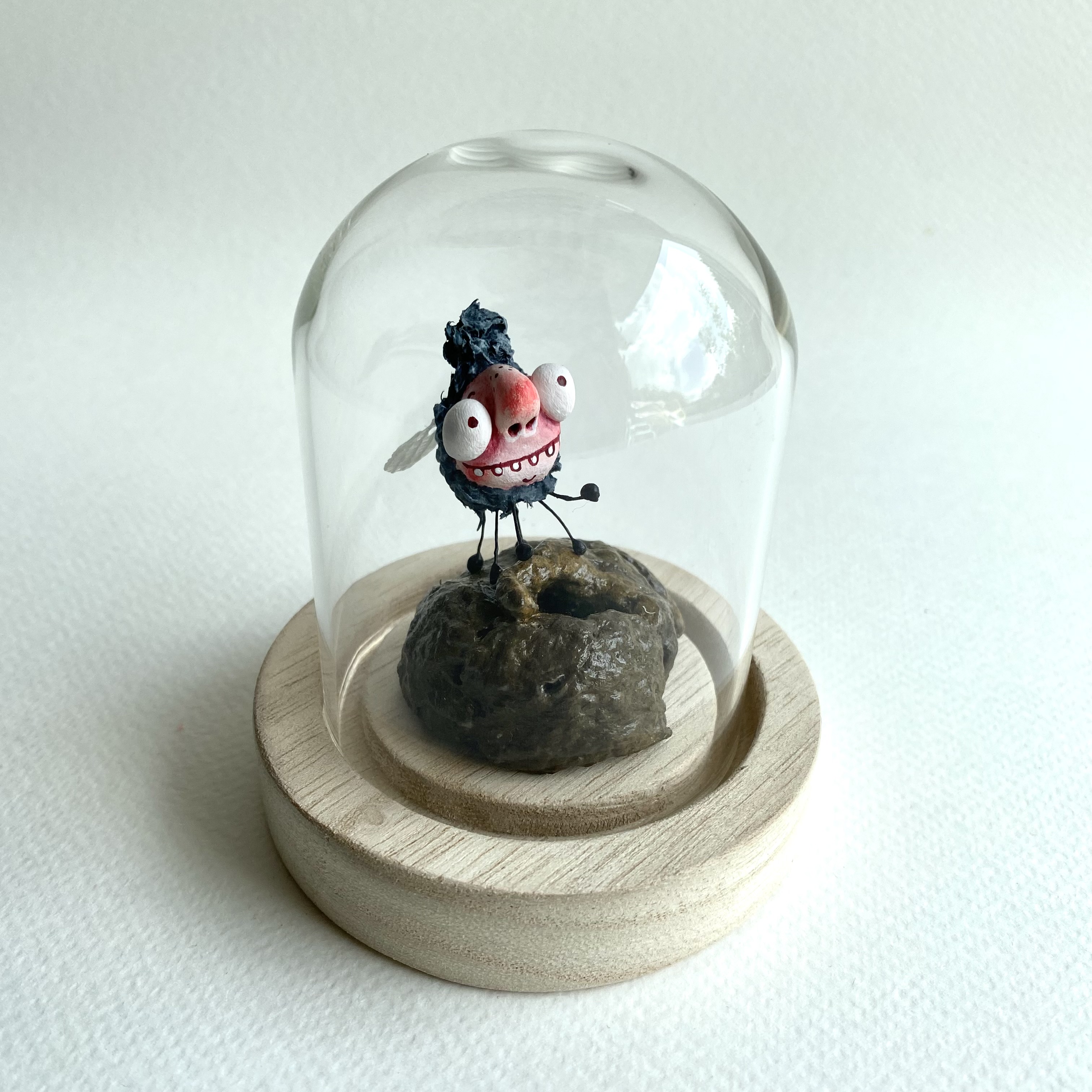 Fly on poop