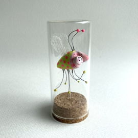 Bug in glas jar