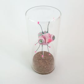 Insect in glas jar