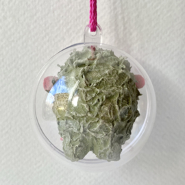 Sprig monster in a bubble