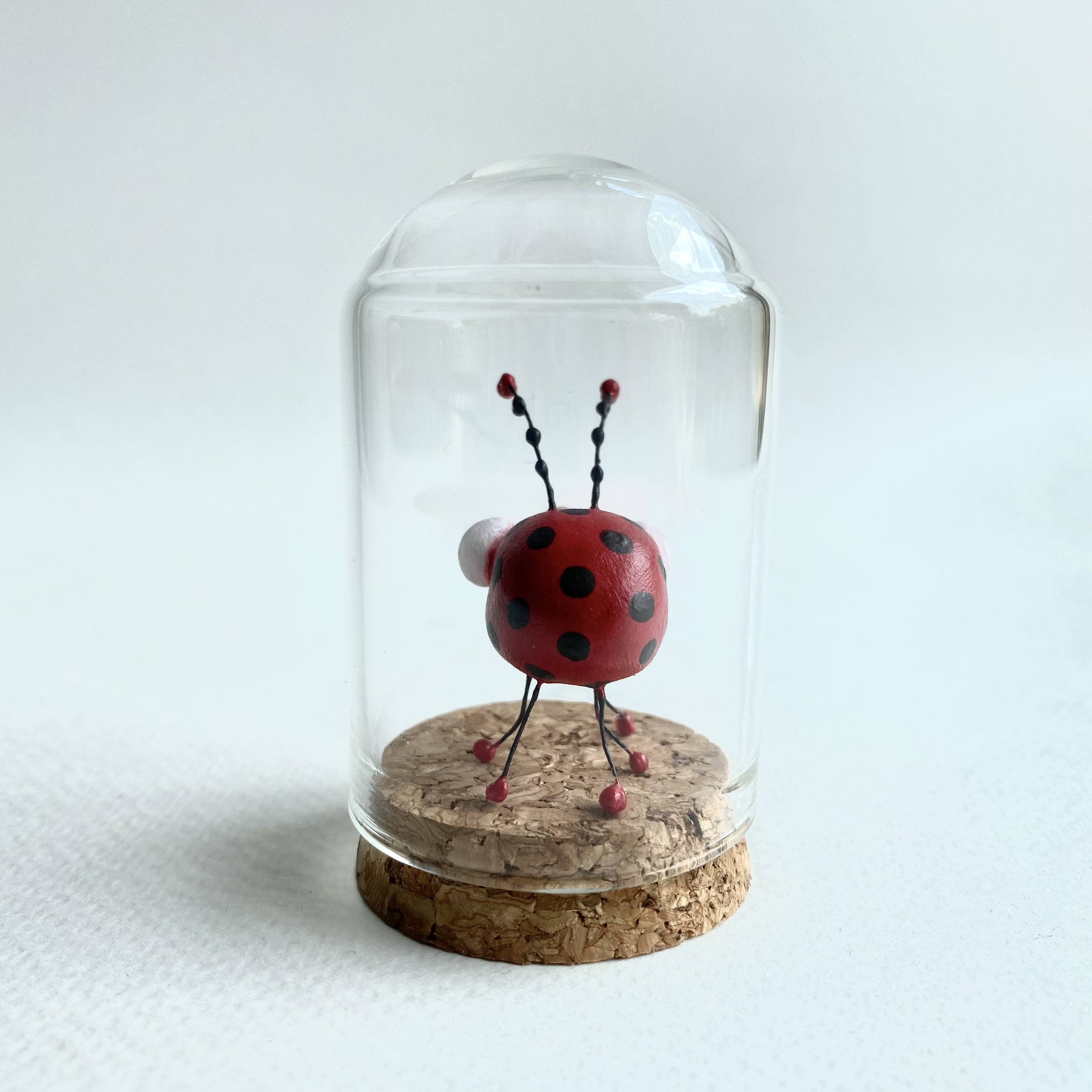 Pom the ladybug
