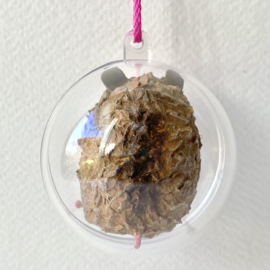 Chip hamster in a bubble