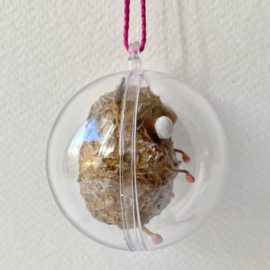 Chip hamster in a bubble