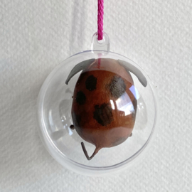 Puddle doggie in a bubble