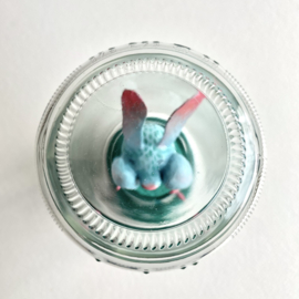 Willow in glazen potje