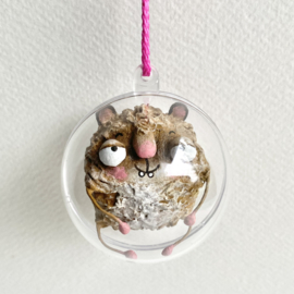 Biff hamster  in een bol