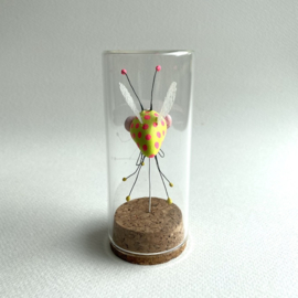 Bug in glas jar