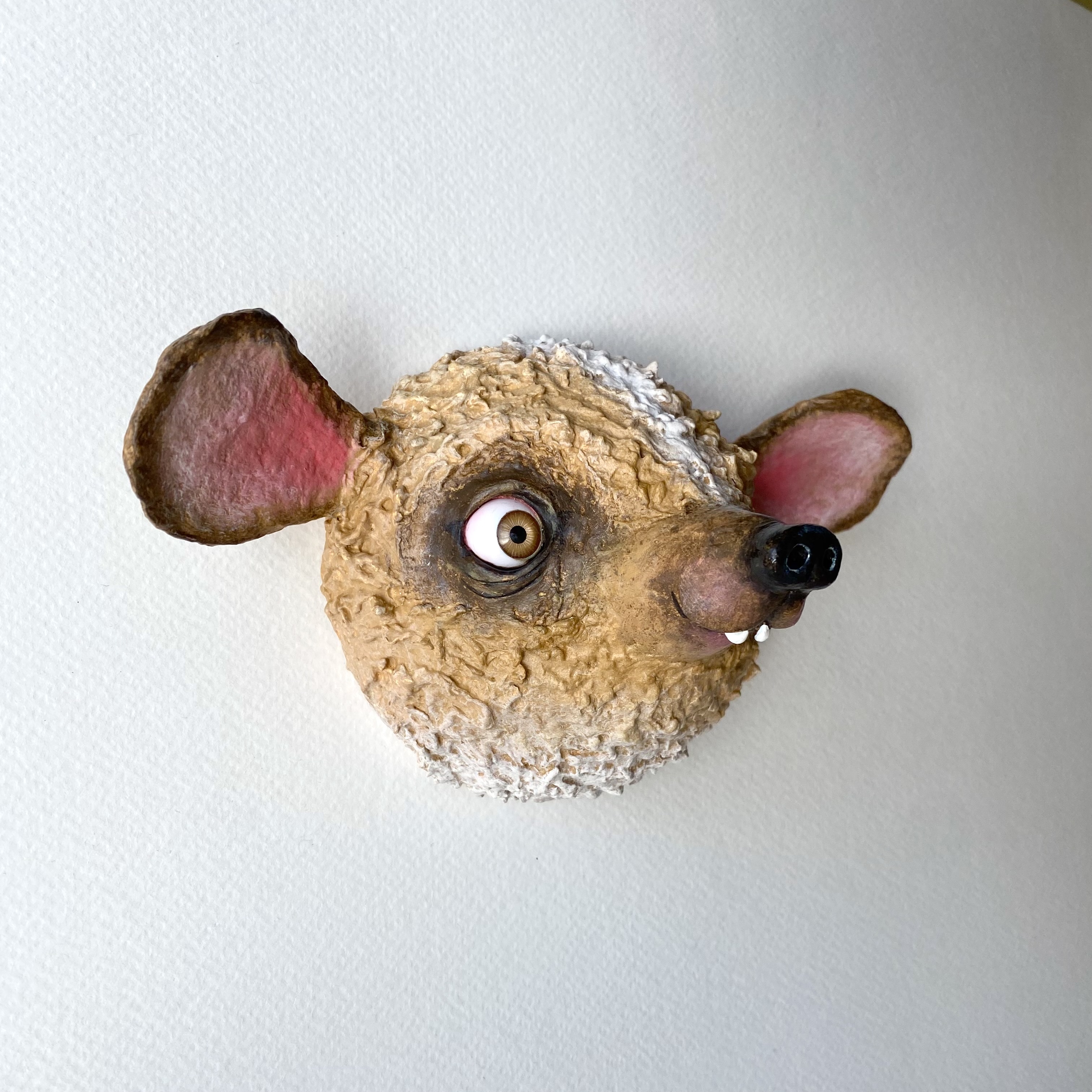 Wall animal