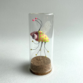 Bug in glas jar