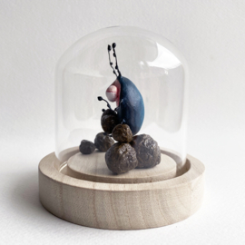 Dung beetle