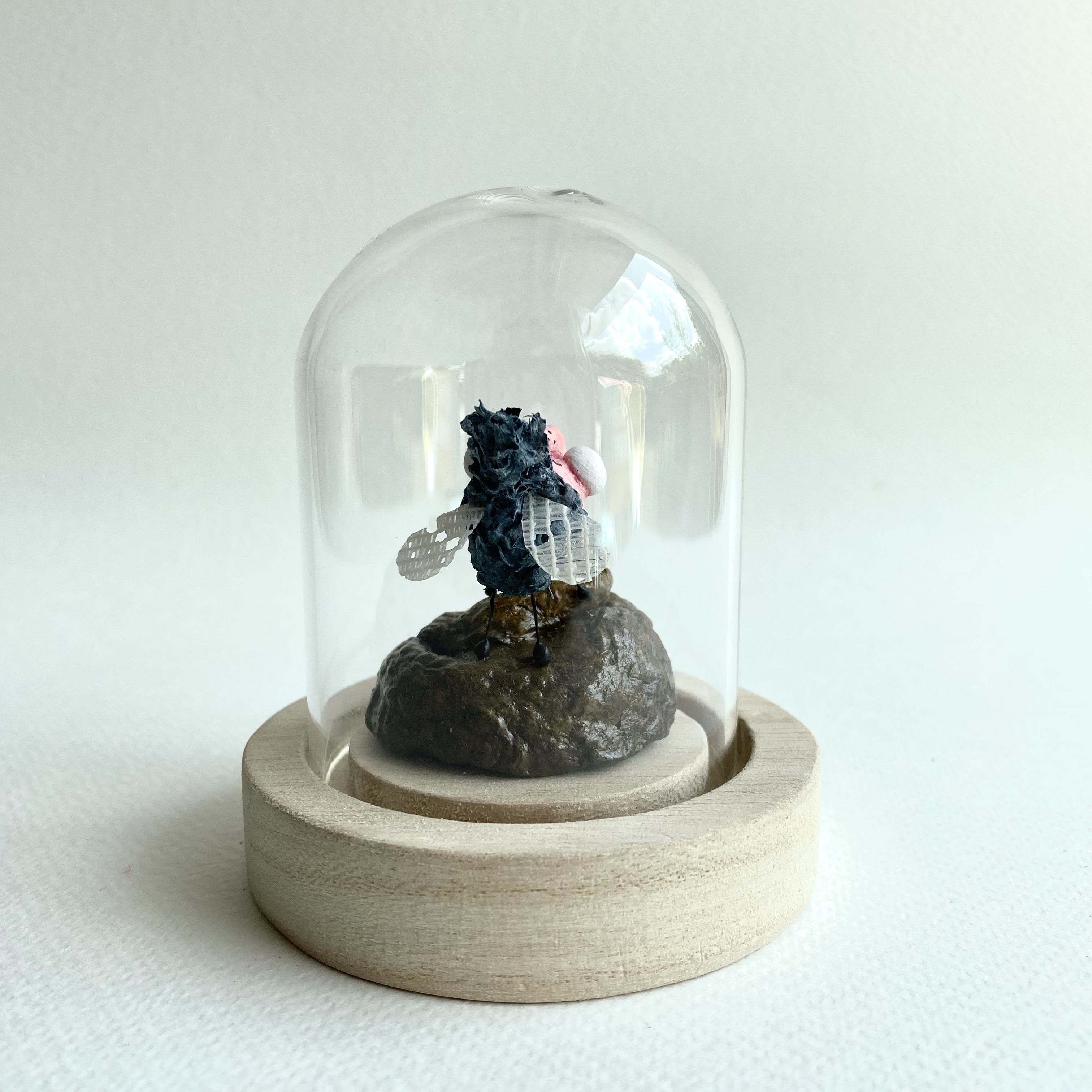 Fly on poop