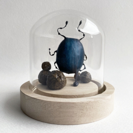 Dung beetle