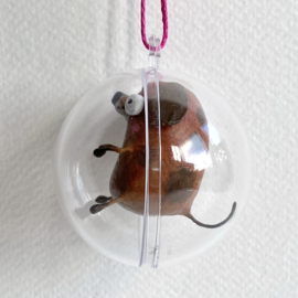 Puddle doggie in a bubble