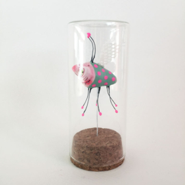 Insect in glas jar