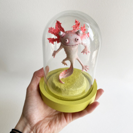 Axolotl