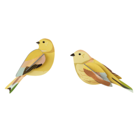 Studio Roof -Citrinella Pair