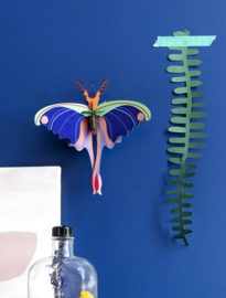 Studio Roof Blue Comet Butterfly