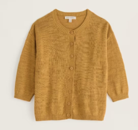 Seasalt Pentire Steps Cadigan - Tansy