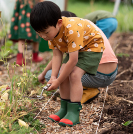 Little Green Radicals- Summer Pears Short sleeve  T-shirt
