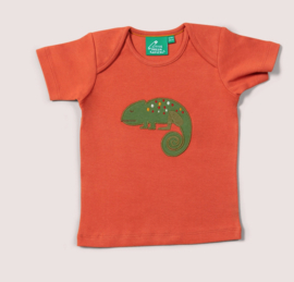 Little Green Radicals- Little Lizard T-shirt Applique
