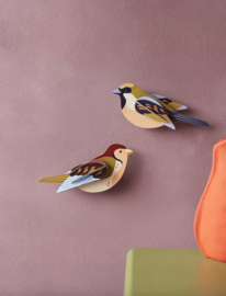 Studio Roof -Sparrows
