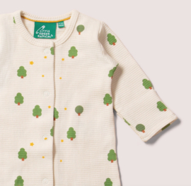 Little Green Radicals- Winter Trees Waffle Babysuit