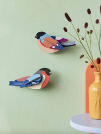 Studio Roof -Finches