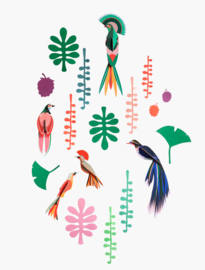 Studio Roof Wall of Curiosities - Bird Observer