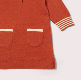 Little Green Radicals-  Ginger Knitted Collar Dress