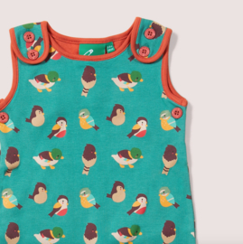 Little Green Radicals-Dungarees Garden Birds