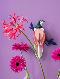 Studio Roof Bird Rani