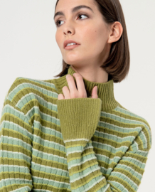 Surkana Striped Jumper Turtleneck Green 564ALZE231