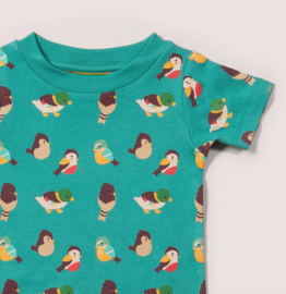 Little Green Radicals- Garden birds T-shirt