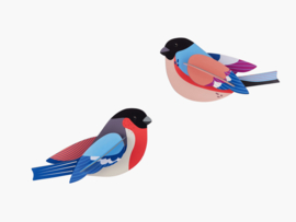 Studio Roof -Finches